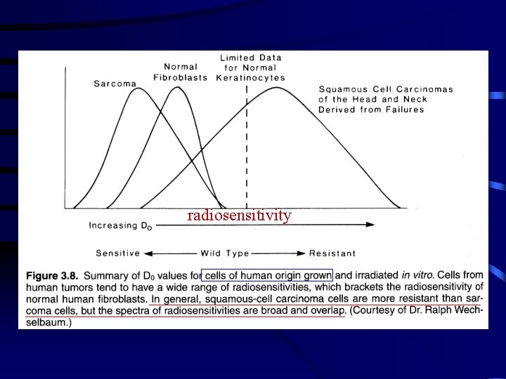 radiosensitivity 