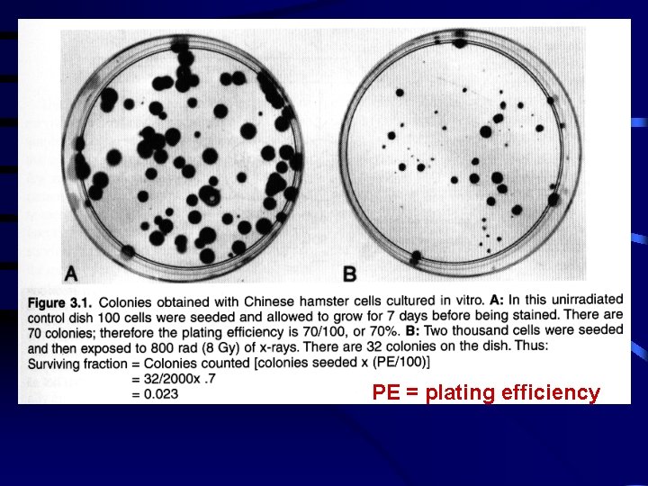 PE = plating efficiency 