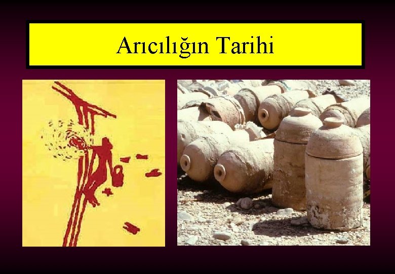 Arıcılığın Tarihi 