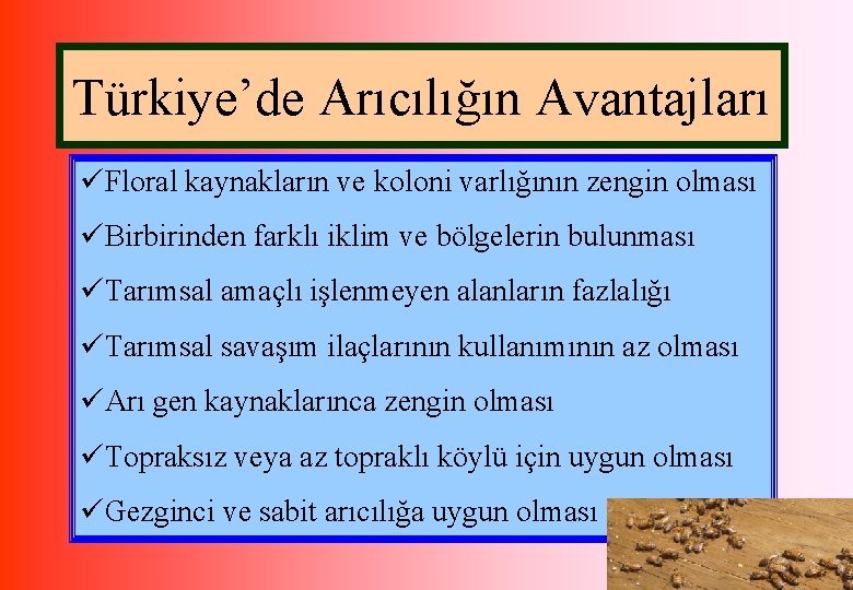 Türkiye’de Arıcılığın Avantajları üFloral kaynakların ve koloni varlığının zengin olması üBirbirinden farklı iklim ve