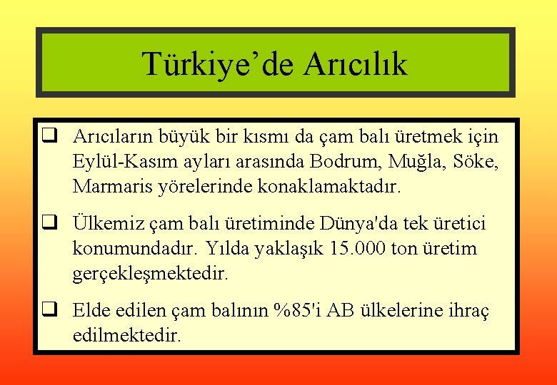 Türkiye’de Arıcılık q Arıcıların büyük bir kısmı da çam balı üretmek için Eylül-Kasım ayları