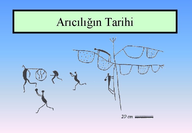 Arıcılığın Tarihi 