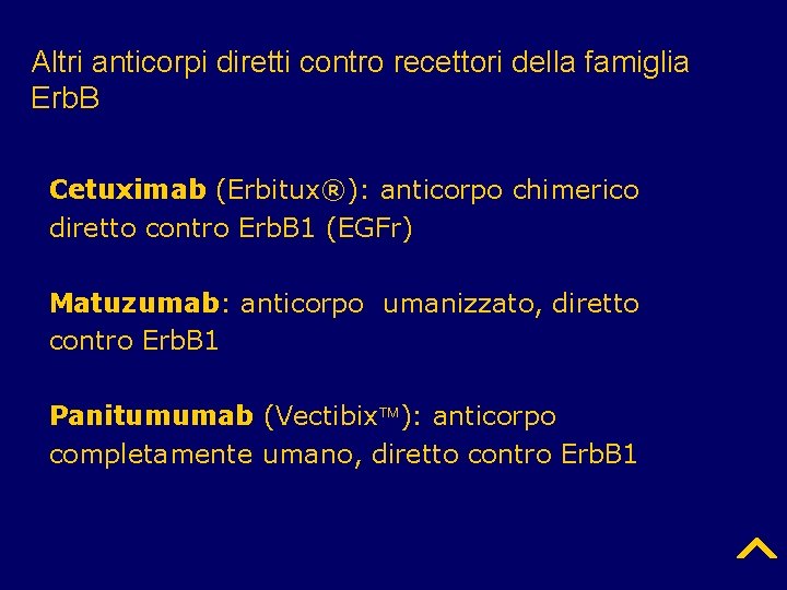 Altri anticorpi diretti contro recettori della famiglia Erb. B Cetuximab (Erbitux®): anticorpo chimerico diretto