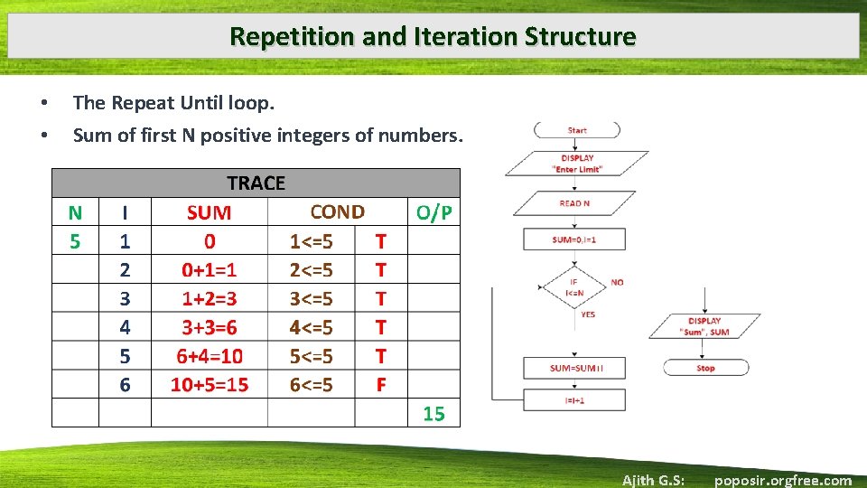 Repetition and Iteration Structure • • The Repeat Until loop. Sum of first N
