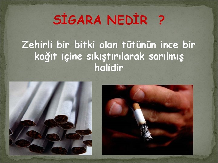 SİGARA NEDİR ? Zehirli bir bitki olan tütünün ince bir kağıt içine sıkıştırılarak sarılmış