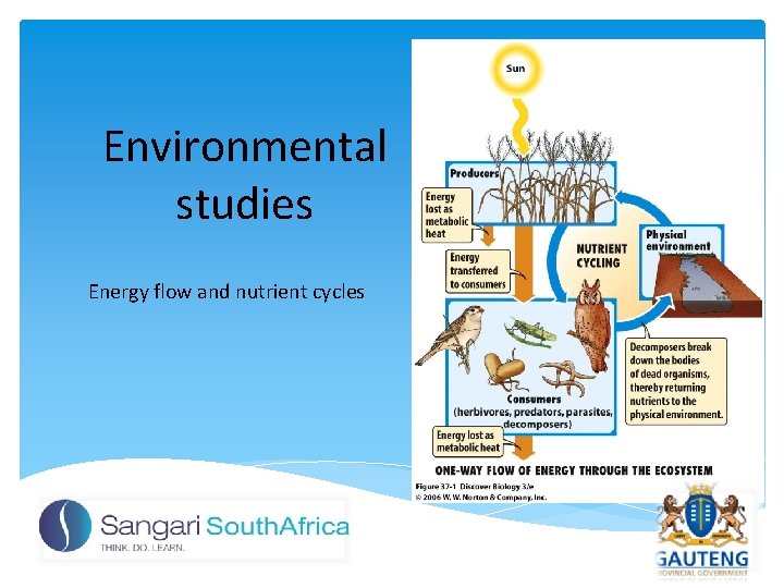 Environmental studies Energy flow and nutrient cycles 