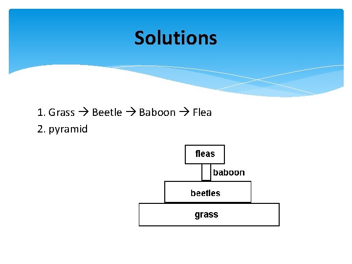 Solutions 1. Grass Beetle Baboon Flea 2. pyramid 