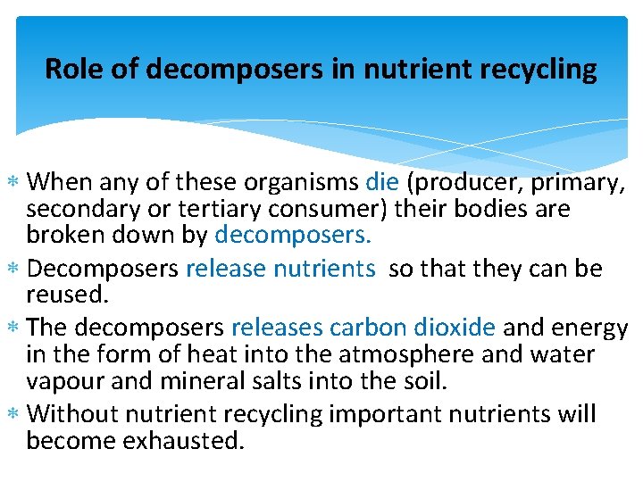 Role of decomposers in nutrient recycling When any of these organisms die (producer, primary,