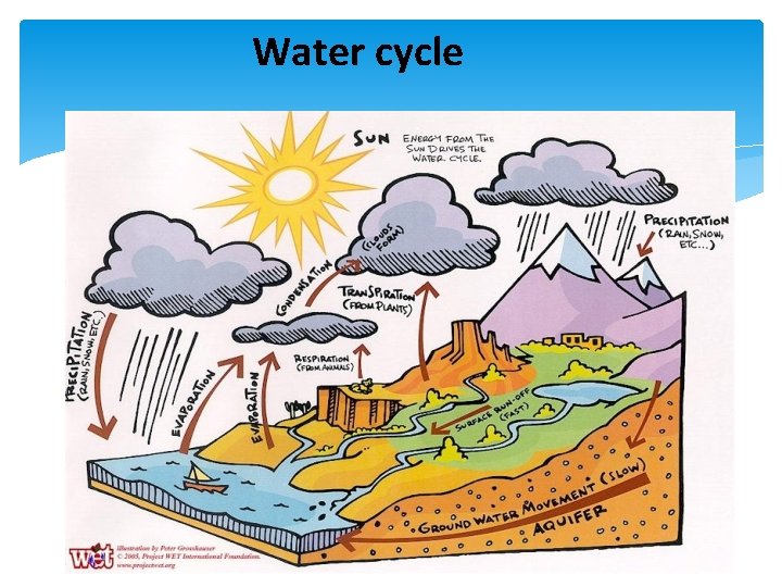 Water cycle 