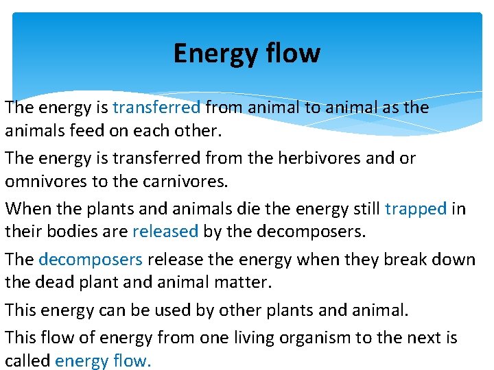 Energy flow The energy is transferred from animal to animal as the animals feed