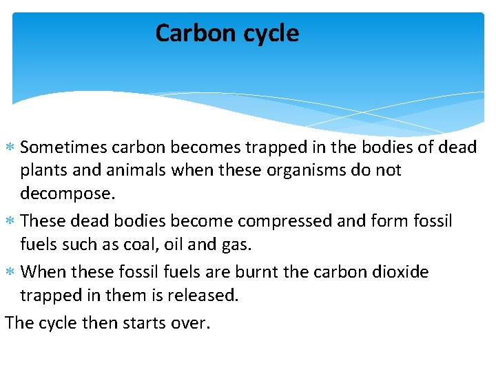 Carbon cycle Sometimes carbon becomes trapped in the bodies of dead plants and animals