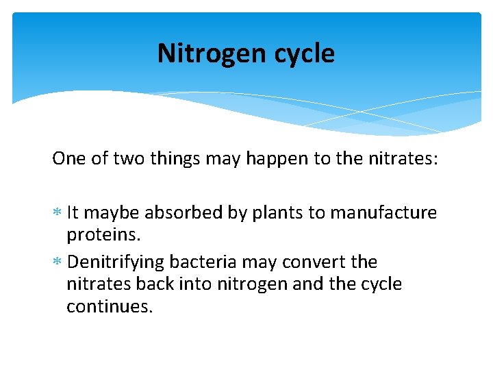 Nitrogen cycle One of two things may happen to the nitrates: It maybe absorbed