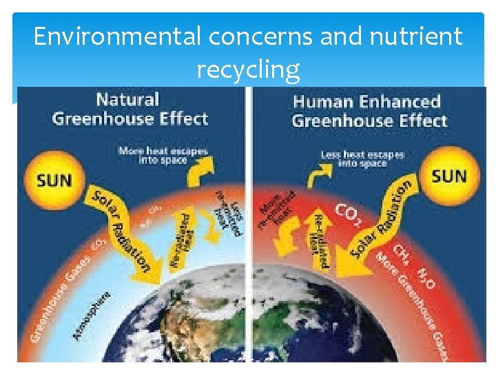 Environmental concerns and nutrient recycling 