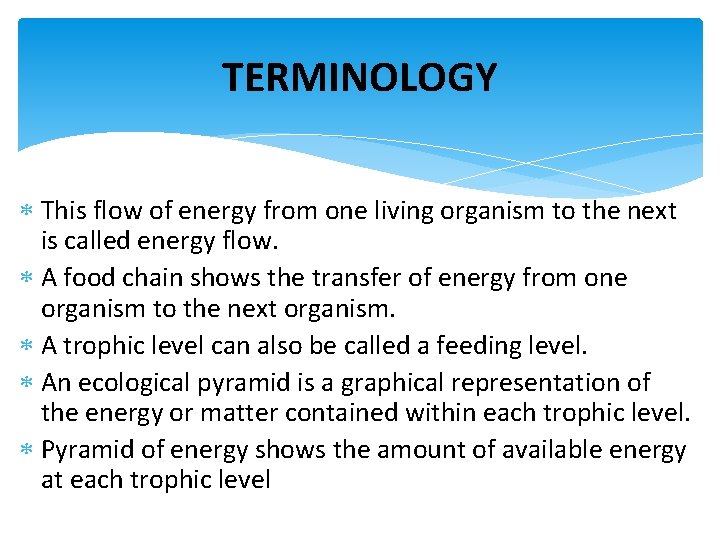 TERMINOLOGY This flow of energy from one living organism to the next is called