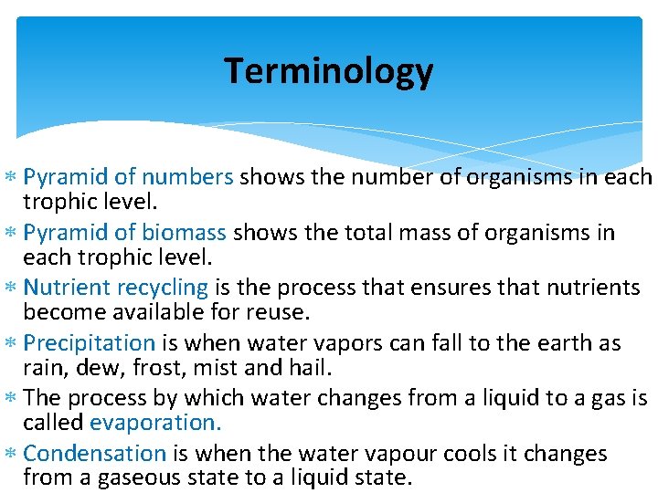 Terminology Pyramid of numbers shows the number of organisms in each trophic level. Pyramid