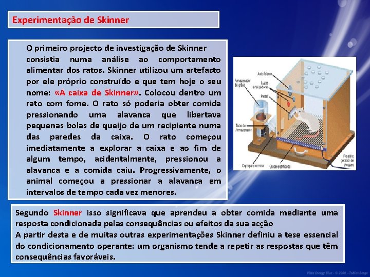 Experimentação de Skinner O primeiro projecto de investigação de Skinner consistia numa análise ao