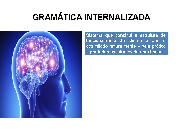 GRAMÁTICA INTERNALIZADA Sistema que constitui a estrutura de funcionamento do idioma e que é