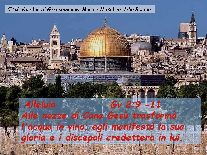 Città Vecchia di Gerusalemme. Mura e Moschea della Roccia Alleluia Gv 2: 9 -11