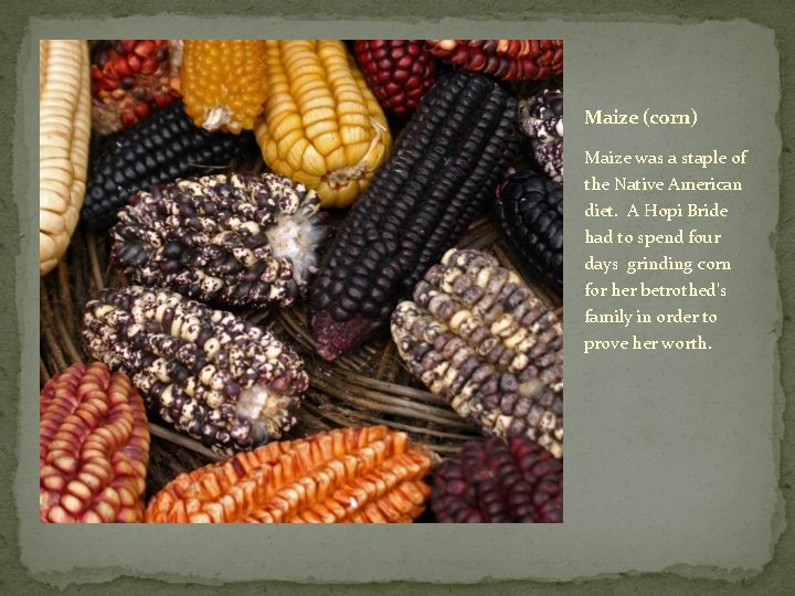 Maize (corn) Maize was a staple of the Native American diet. A Hopi Bride