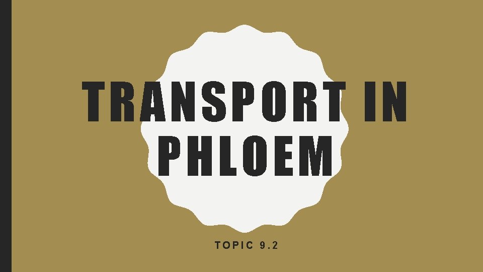 TRANSPORT IN PHLOEM TOPIC 9. 2 