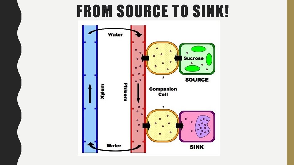 FROM SOURCE TO SINK! 