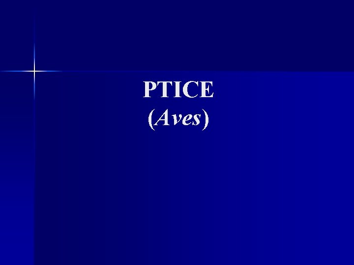 PTICE (Aves) 