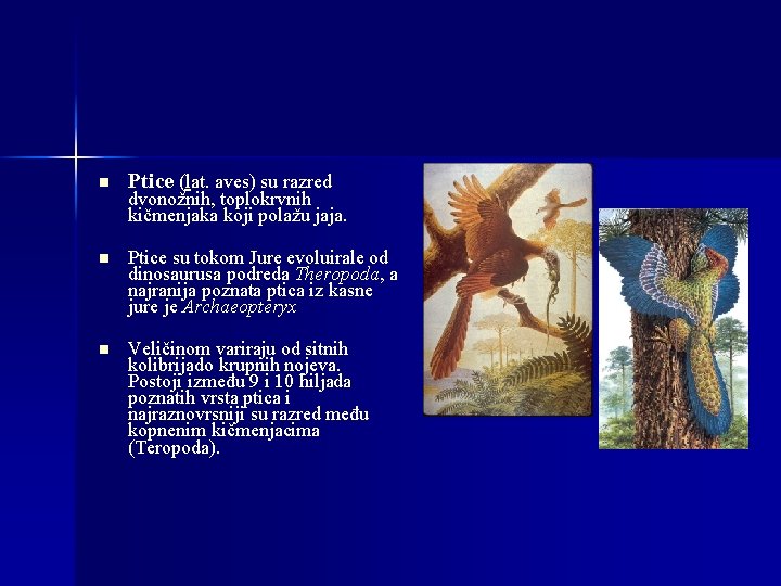 n Ptice (lat. aves) su razred n Ptice su tokom Jure evoluirale od dinosaurusa