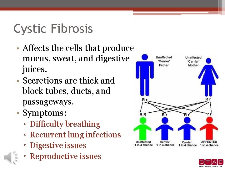 Cystic Fibrosis • Affects the cells that produce mucus, sweat, and digestive juices. • Cystic Fibrosis • Affects the cells that produce mucus, sweat, and digestive juices. •