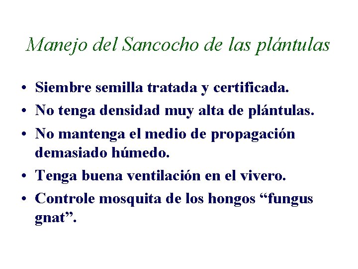 Manejo del Sancocho de las plántulas • Siembre semilla tratada y certificada. • No