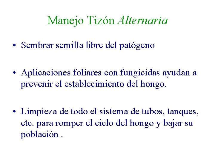 Manejo Tizón Alternaria • Sembrar semilla libre del patógeno • Aplicaciones foliares con fungicidas