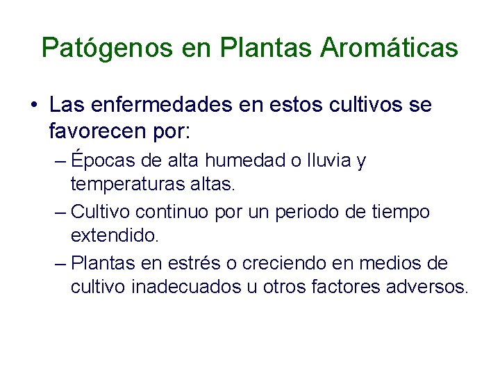 Patógenos en Plantas Aromáticas • Las enfermedades en estos cultivos se favorecen por: –