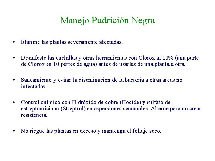 Manejo Pudrición Negra • Elimine las plantas severamente afectadas. • Desinfeste las cuchillas y