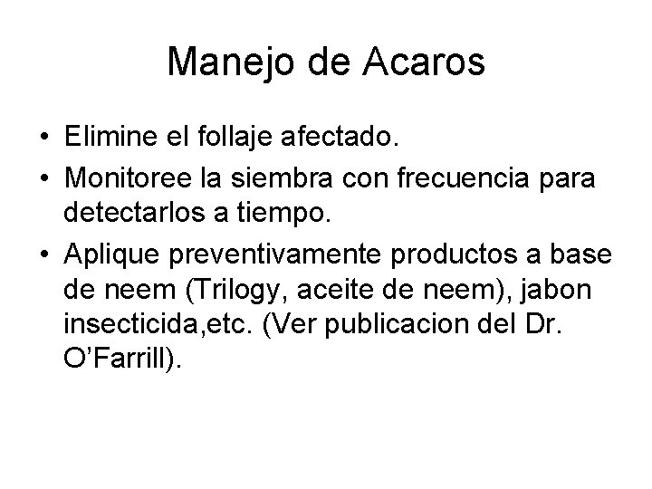 Manejo de Acaros • Elimine el follaje afectado. • Monitoree la siembra con frecuencia