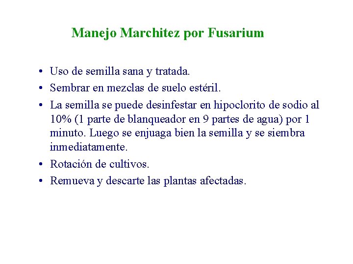 Manejo Marchitez por Fusarium • Uso de semilla sana y tratada. • Sembrar en