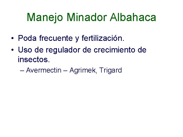 Manejo Minador Albahaca • Poda frecuente y fertilización. • Uso de regulador de crecimiento