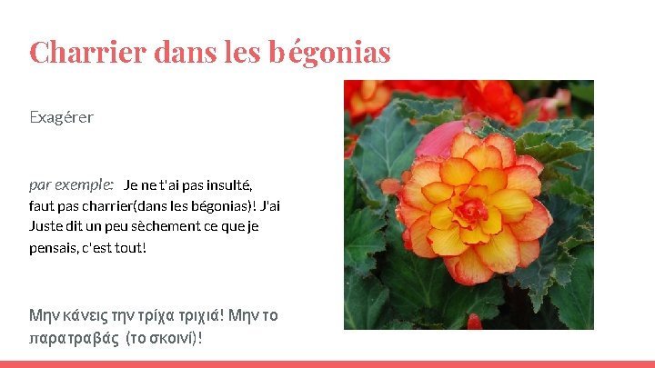 Charrier dans les bégonias Exagérer par exemple: Je ne t'ai pas insulté, faut pas Charrier dans les bégonias Exagérer par exemple: Je ne t'ai pas insulté, faut pas