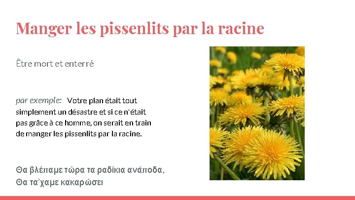 Manger les pissenlits par la racine Être mort et enterré par exemple: Votre plan Manger les pissenlits par la racine Être mort et enterré par exemple: Votre plan