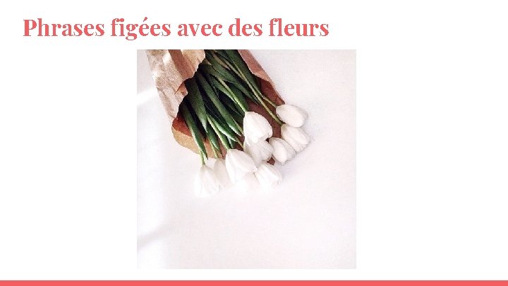 Phrases figées avec des fleurs Phrases figées avec des fleurs