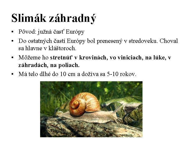 Slimák záhradný • Pôvod: južná časť Európy • Do ostatných častí Európy bol prenesený