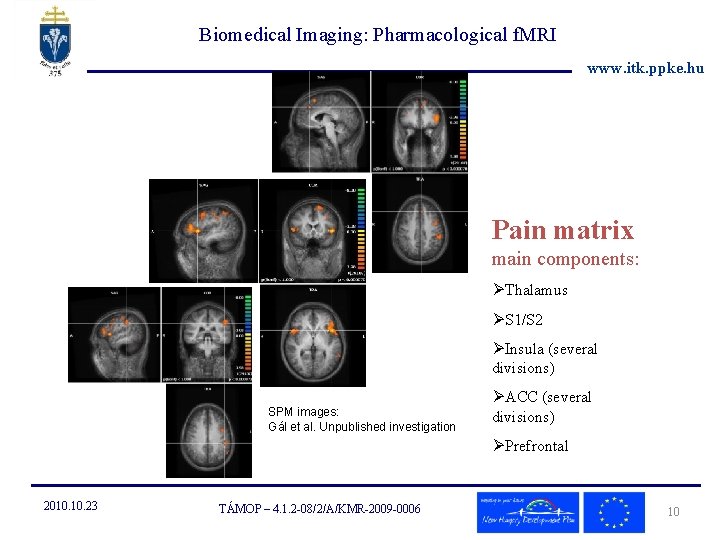 Biomedical Imaging: Pharmacological f. MRI www. itk. ppke. hu Pain matrix main components: ØThalamus