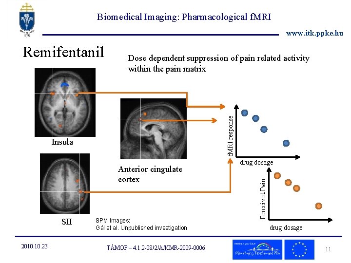 Biomedical Imaging: Pharmacological f. MRI www. itk. ppke. hu Dose dependent suppression of pain