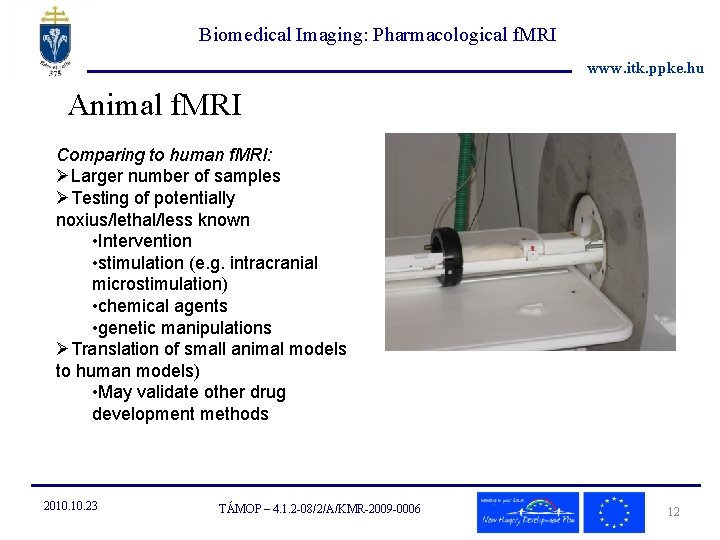Biomedical Imaging: Pharmacological f. MRI www. itk. ppke. hu Animal f. MRI Comparing to