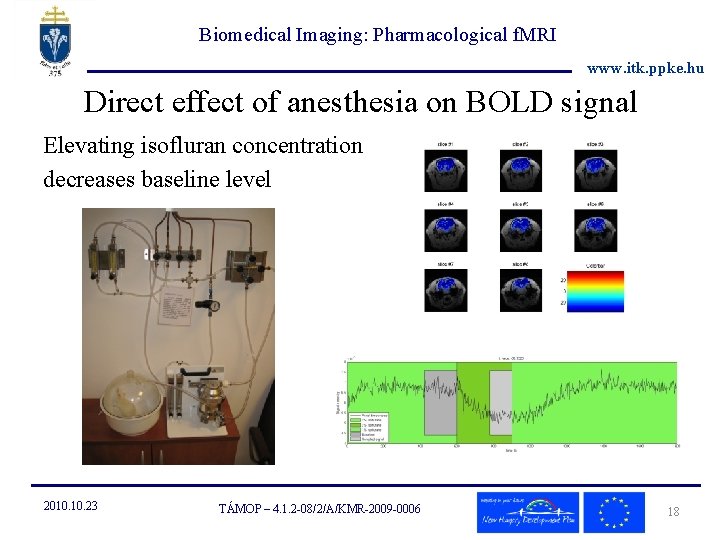 Biomedical Imaging: Pharmacological f. MRI www. itk. ppke. hu Direct effect of anesthesia on