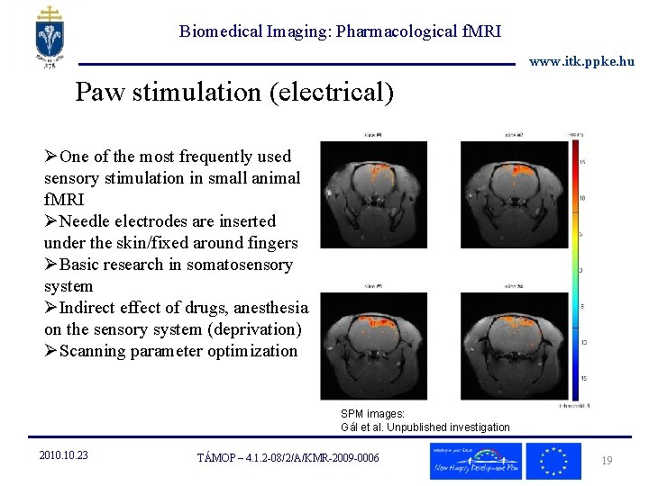 Biomedical Imaging: Pharmacological f. MRI www. itk. ppke. hu Paw stimulation (electrical) ØOne of
