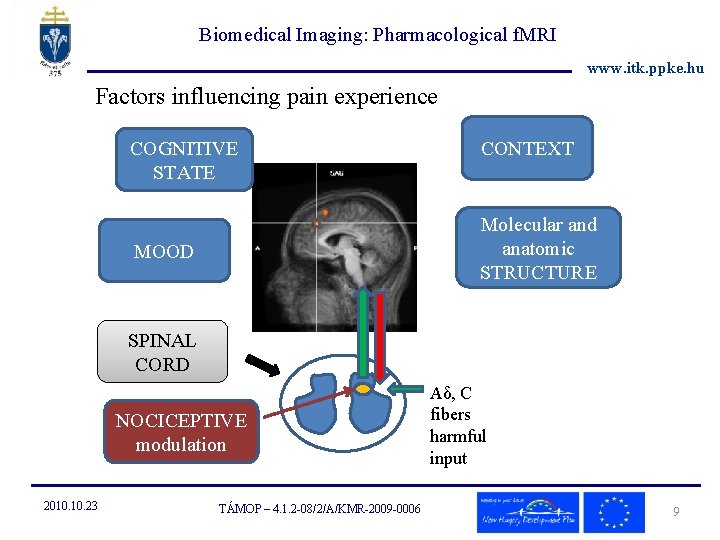 Biomedical Imaging: Pharmacological f. MRI www. itk. ppke. hu Factors influencing pain experience COGNITIVE