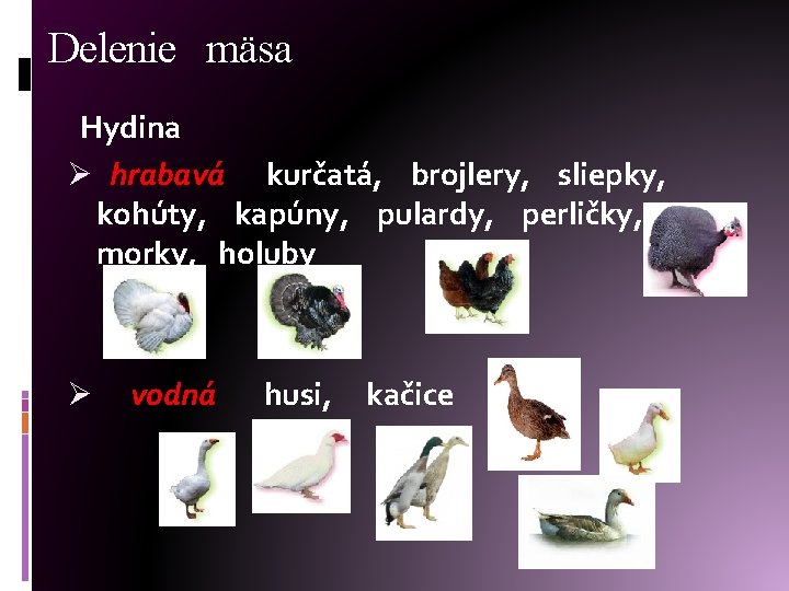 Delenie mäsa Hydina Ø hrabavá kurčatá, brojlery, sliepky, kohúty, kapúny, pulardy, perličky, morky, holuby