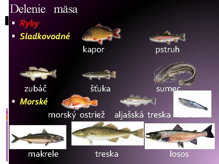 Delenie mäsa Ryby Sladkovodné kapor zubáč Morské pstruh šťuka morský ostriež makrele sumec aljašská