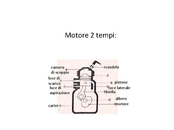 Motore 2 tempi: camera di scoppio luce di scarico luce di aspirazione carter candela