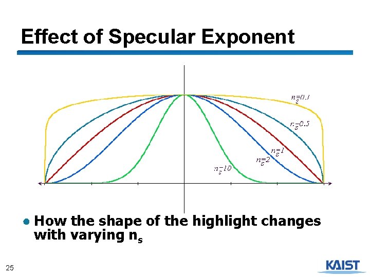 Effect of Specular Exponent ● How the shape of the highlight changes with varying
