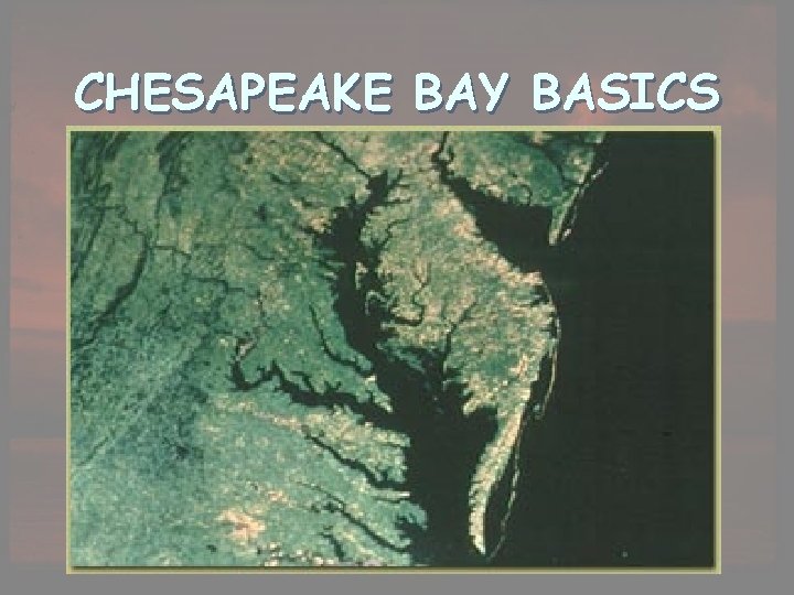 CHESAPEAKE BAY BASICS 